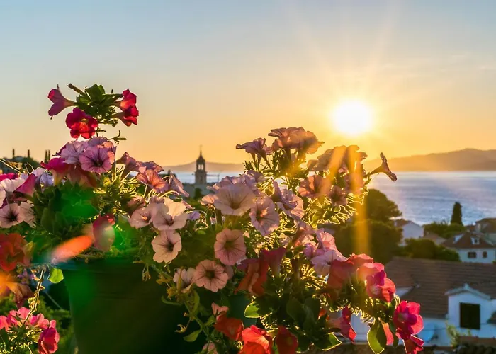 Apartamento 2 Pools-5 By Interhome Sutivan